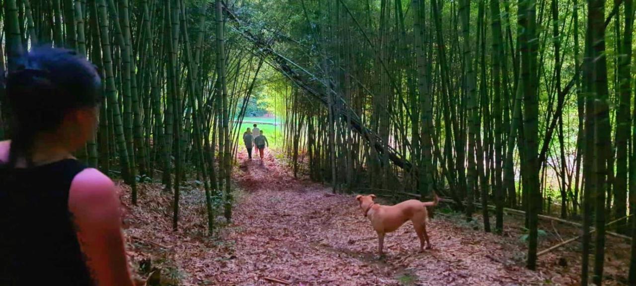 Pousada Green Valley São Roque Екстериор снимка